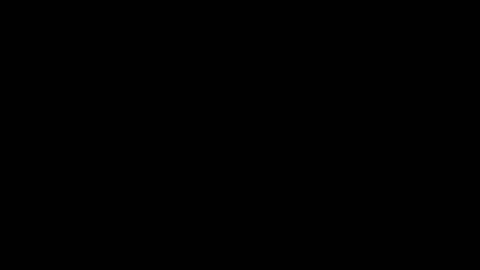 19646